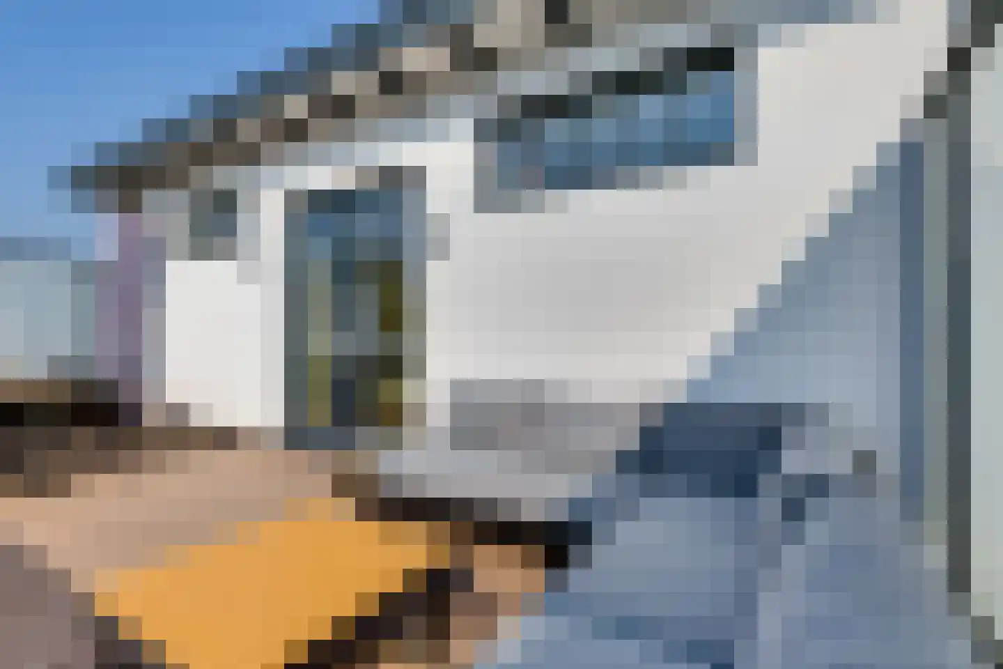 Varsseveldseweg 25 i Lichtenvoorde thumbnail 44