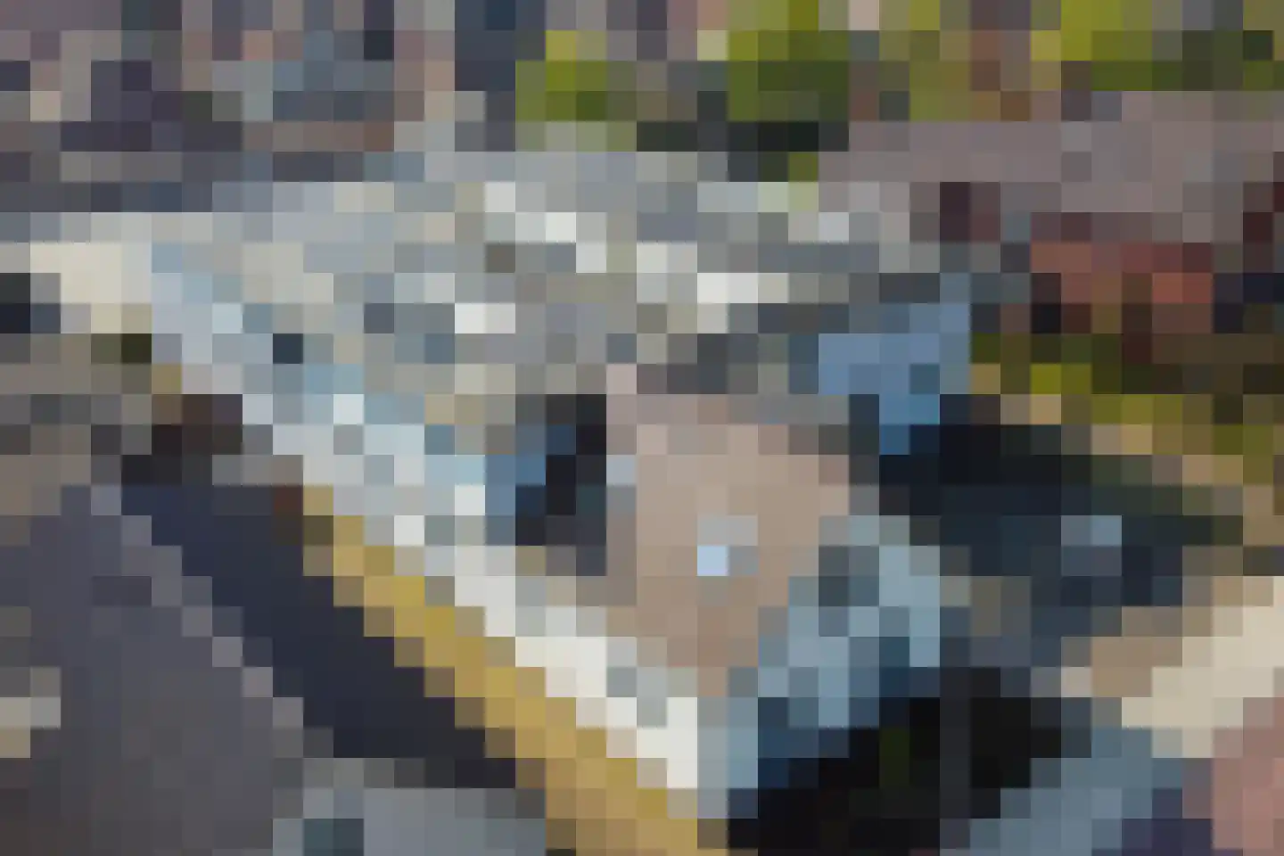 Varsseveldseweg 25 i Lichtenvoorde thumbnail 68