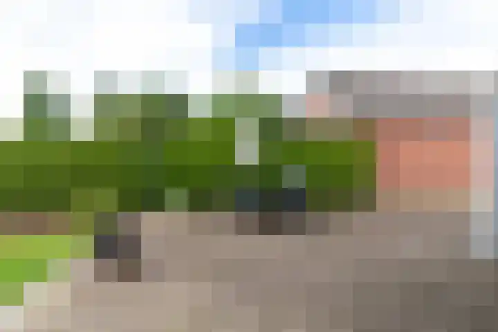 Varsseveldseweg 26 Terborg thumbnail 45