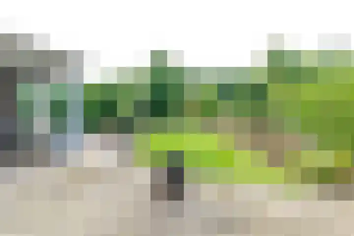 Varsseveldseweg 26 Terborg thumbnail 46