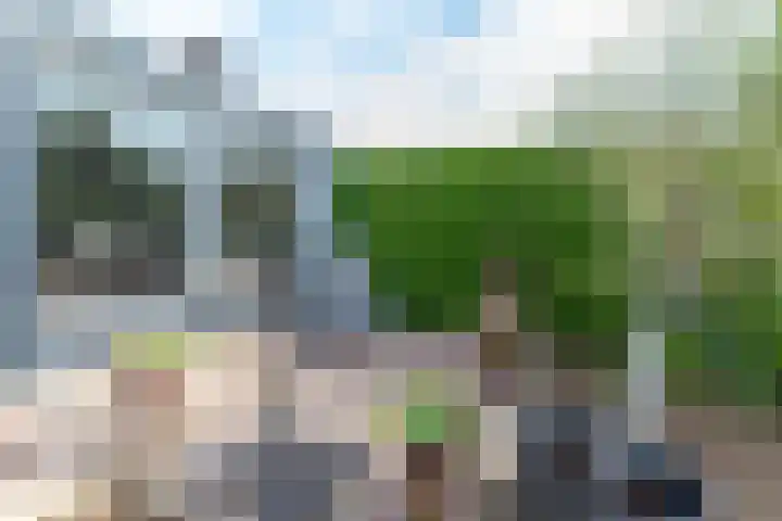 Varsseveldseweg 26 Terborg thumbnail 47