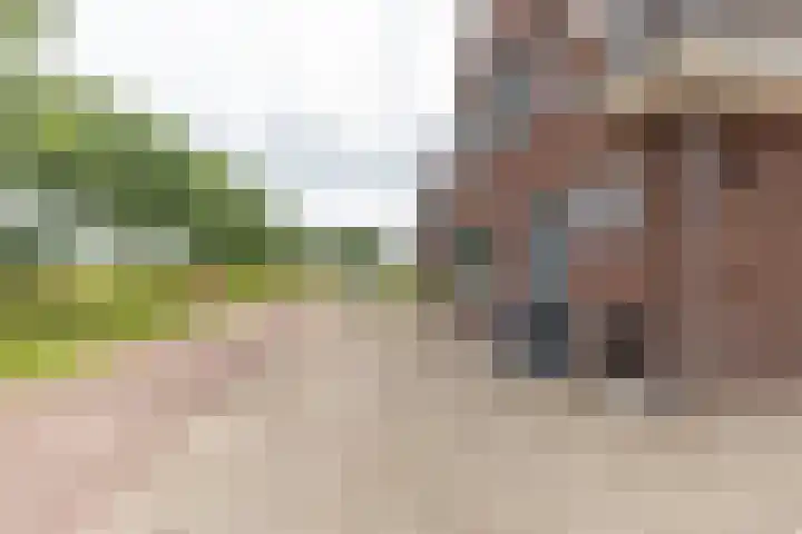 Varsseveldseweg 26 Terborg thumbnail 5