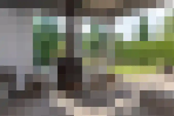 Varsseveldseweg 26 Terborg thumbnail 50