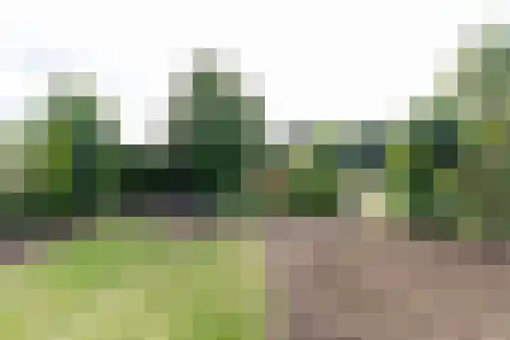 Varsseveldseweg 26 Terborg thumbnail 51
