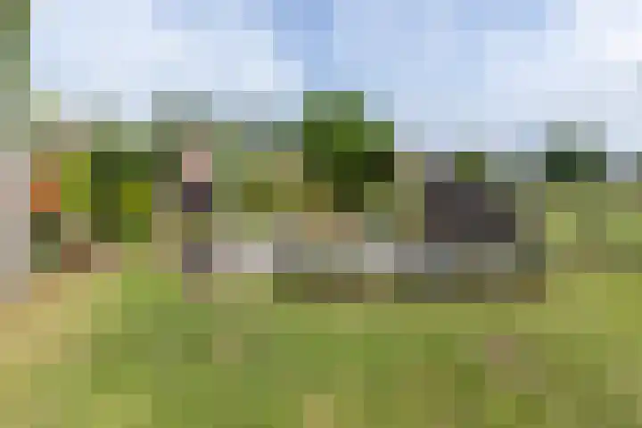 Varsseveldseweg 26 Terborg thumbnail 52