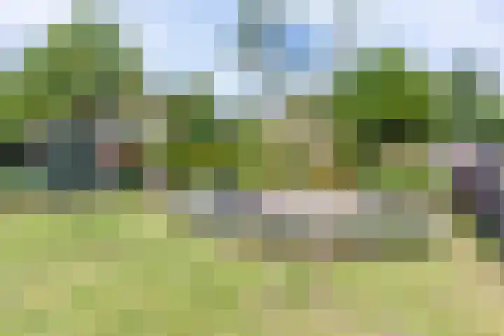 Varsseveldseweg 26 Terborg thumbnail 53