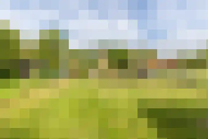 Varsseveldseweg 26 Terborg thumbnail 54