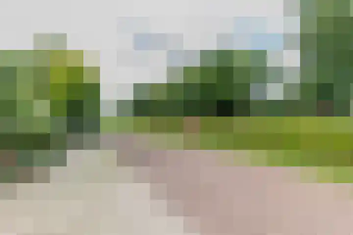 Varsseveldseweg 26 Terborg thumbnail 7