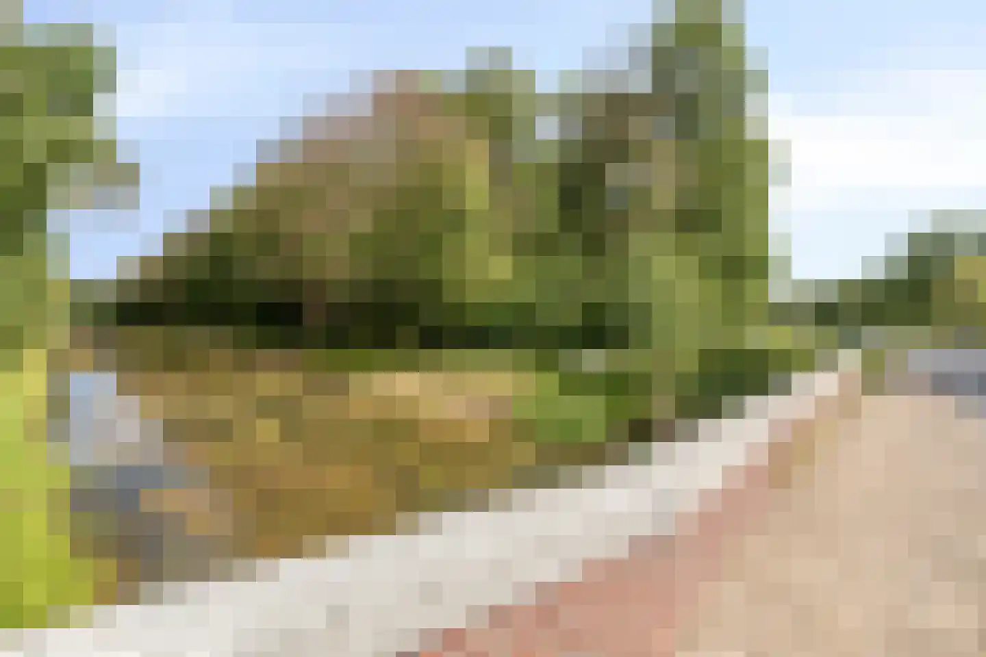 Varsseveldseweg 288 Doetinchem thumbnail 66