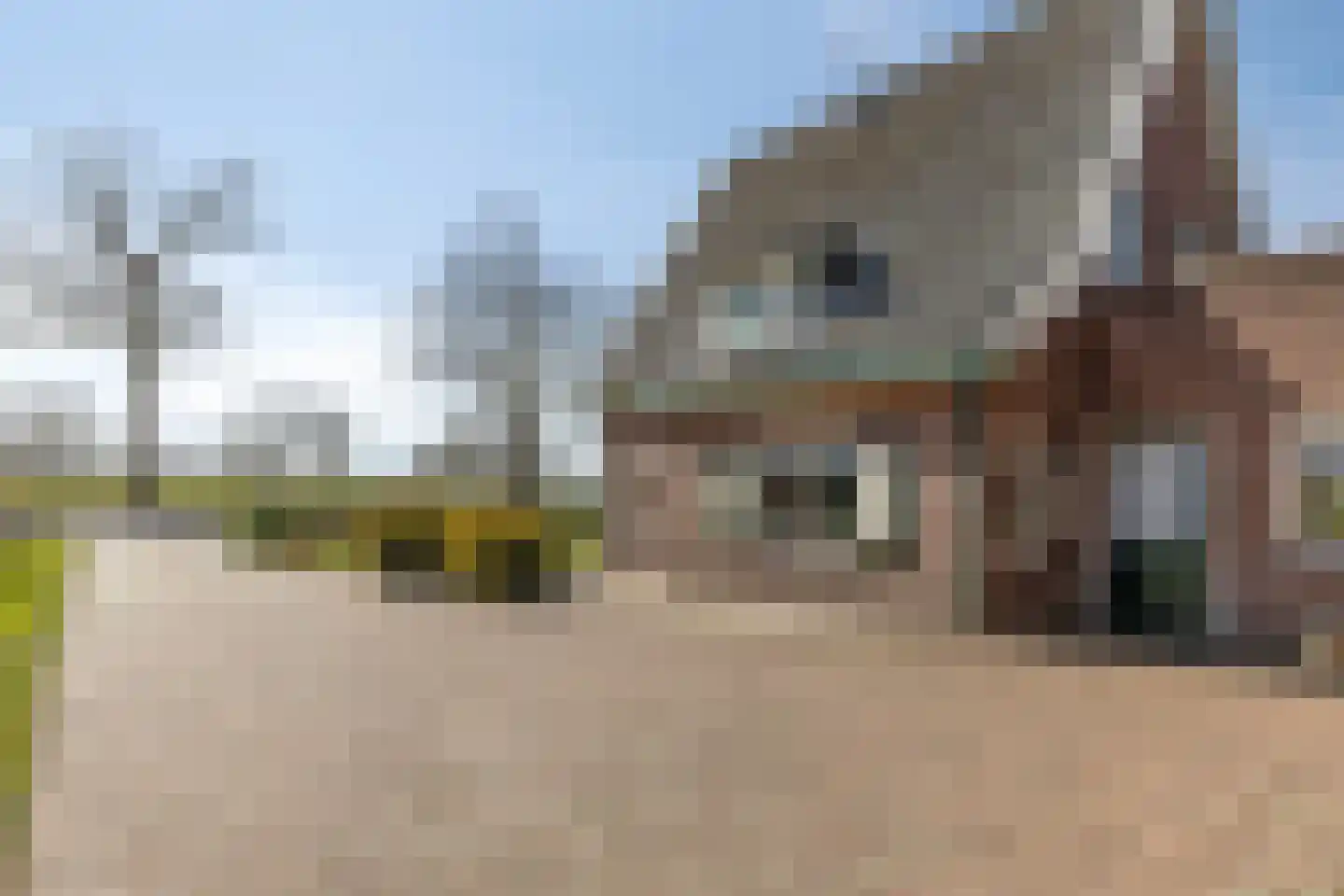 Varsseveldseweg 299 Doetinchem thumbnail 41
