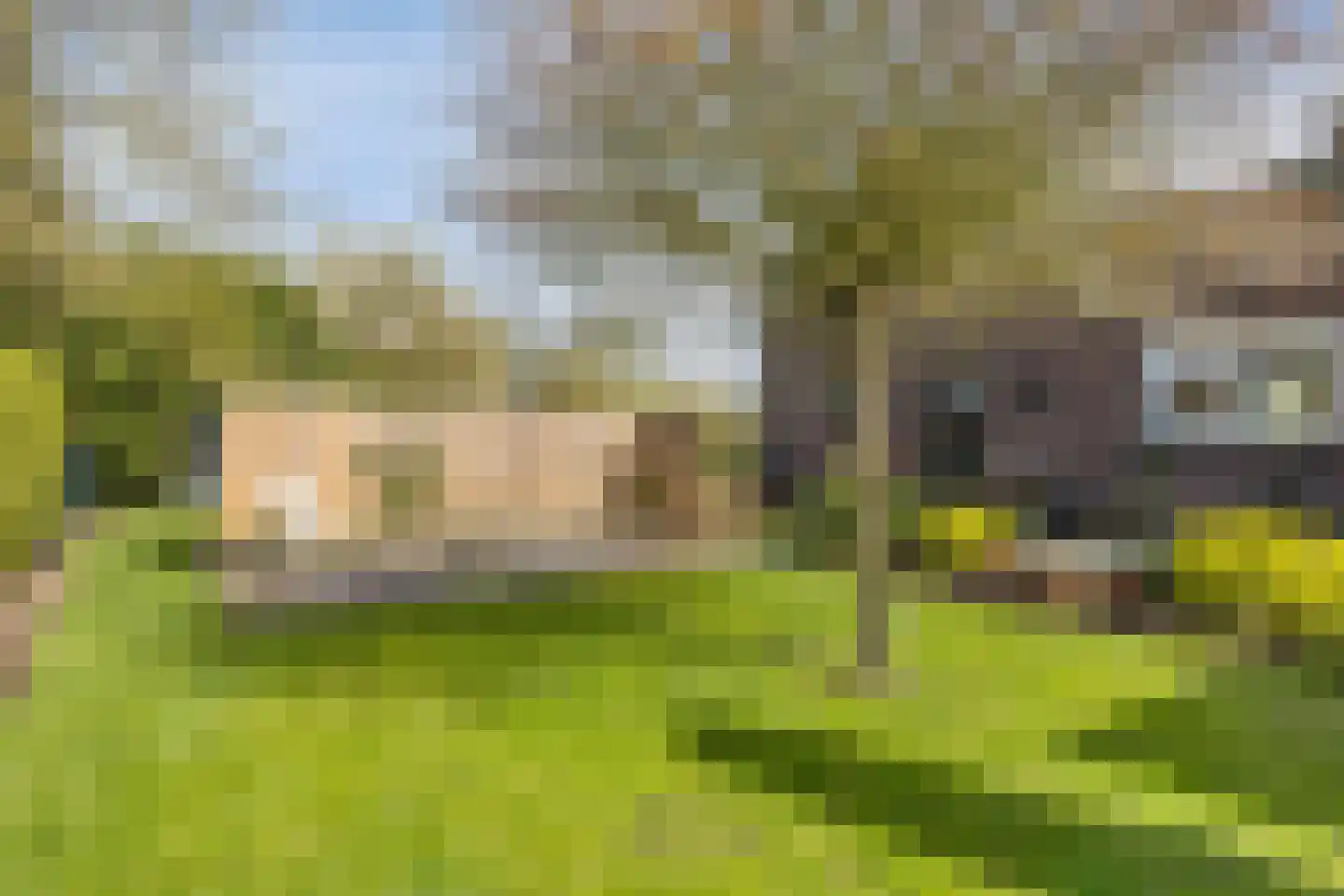 Varsseveldseweg 299 Doetinchem thumbnail 43