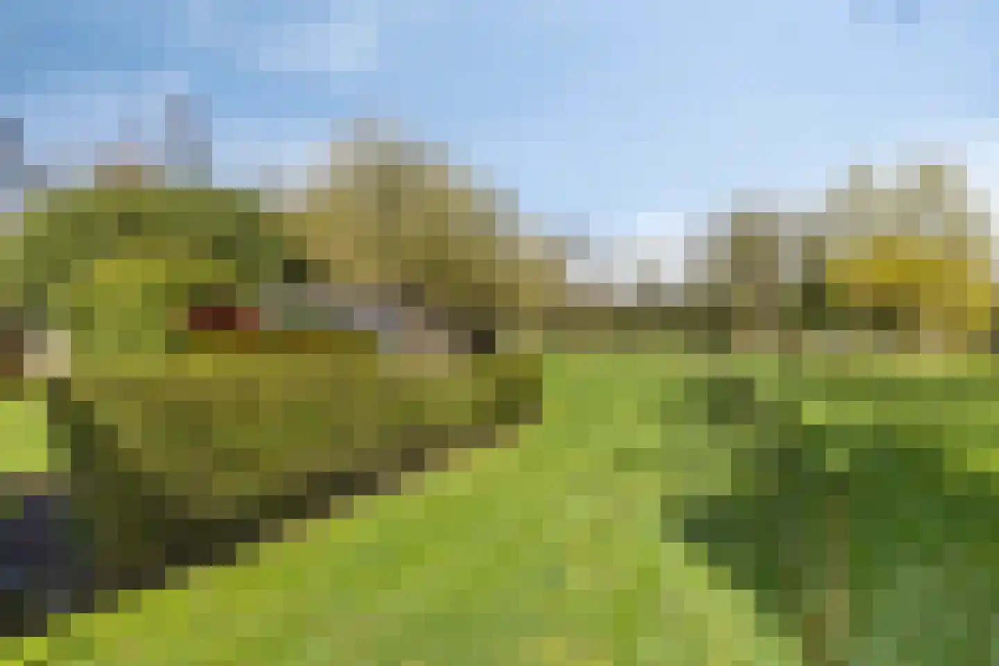 Varsseveldseweg 299 Doetinchem thumbnail 45