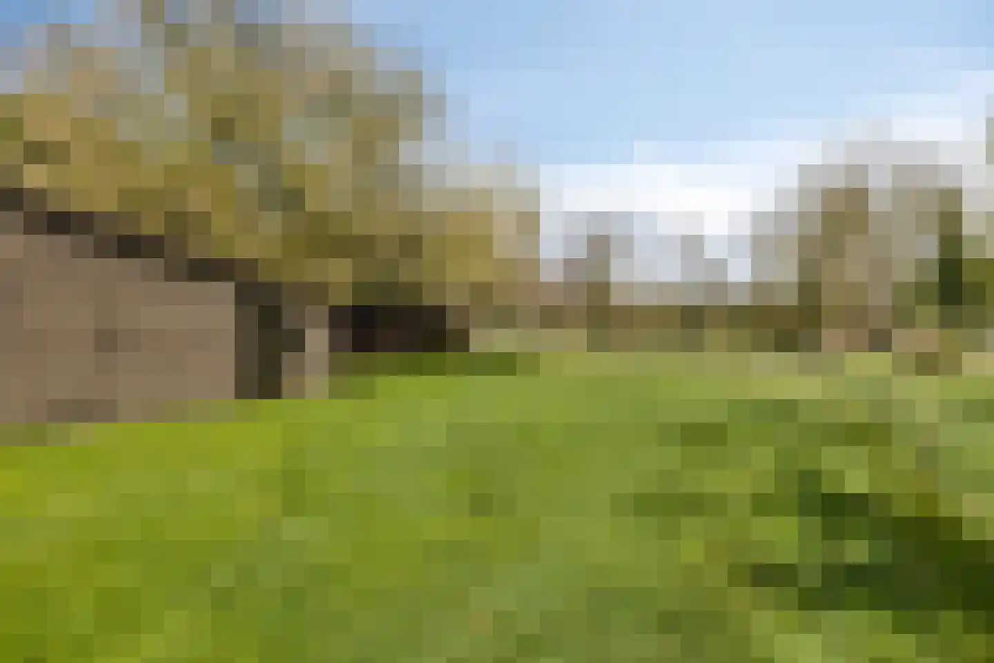 Varsseveldseweg 299 Doetinchem thumbnail 46