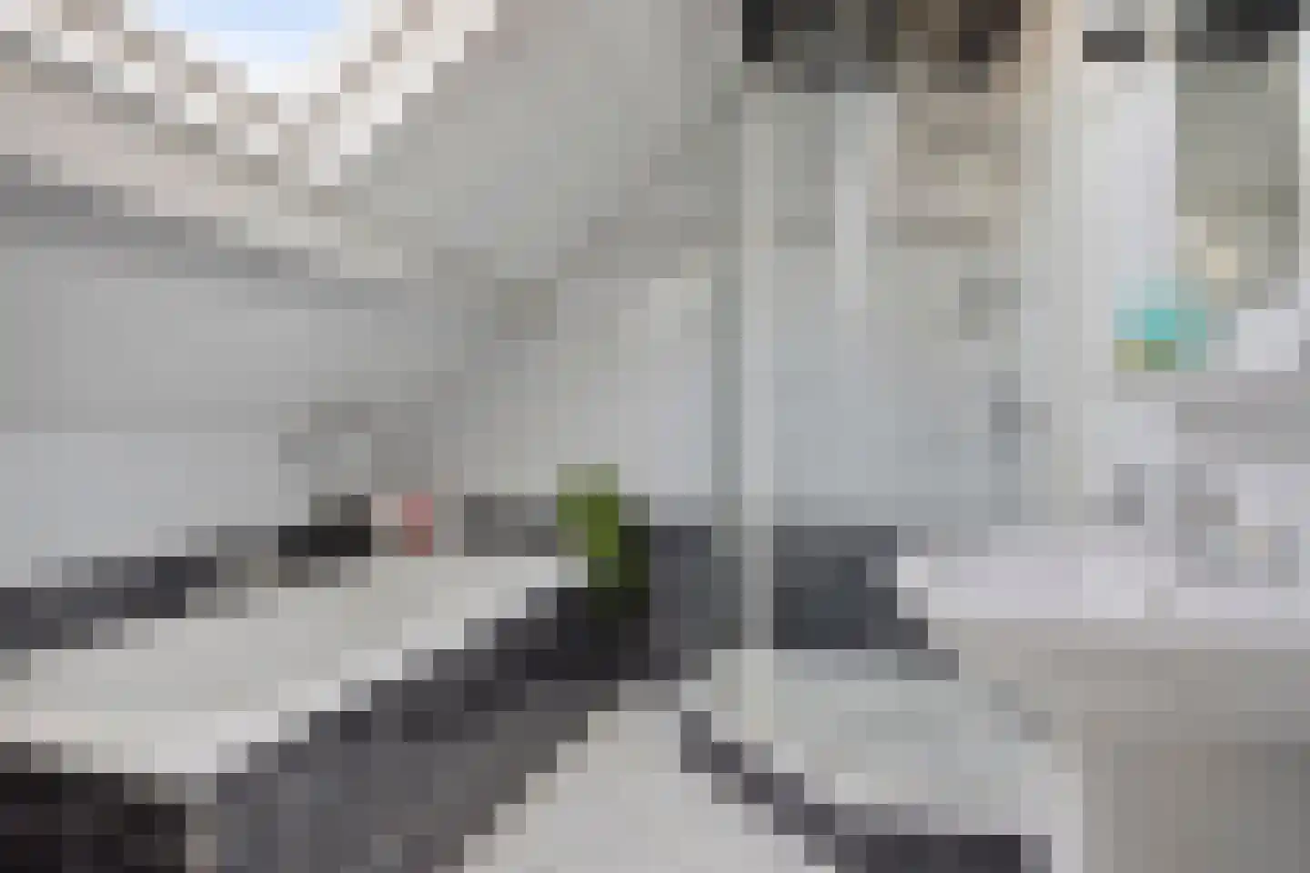 Varsseveldseweg 4 Halle thumbnail 50