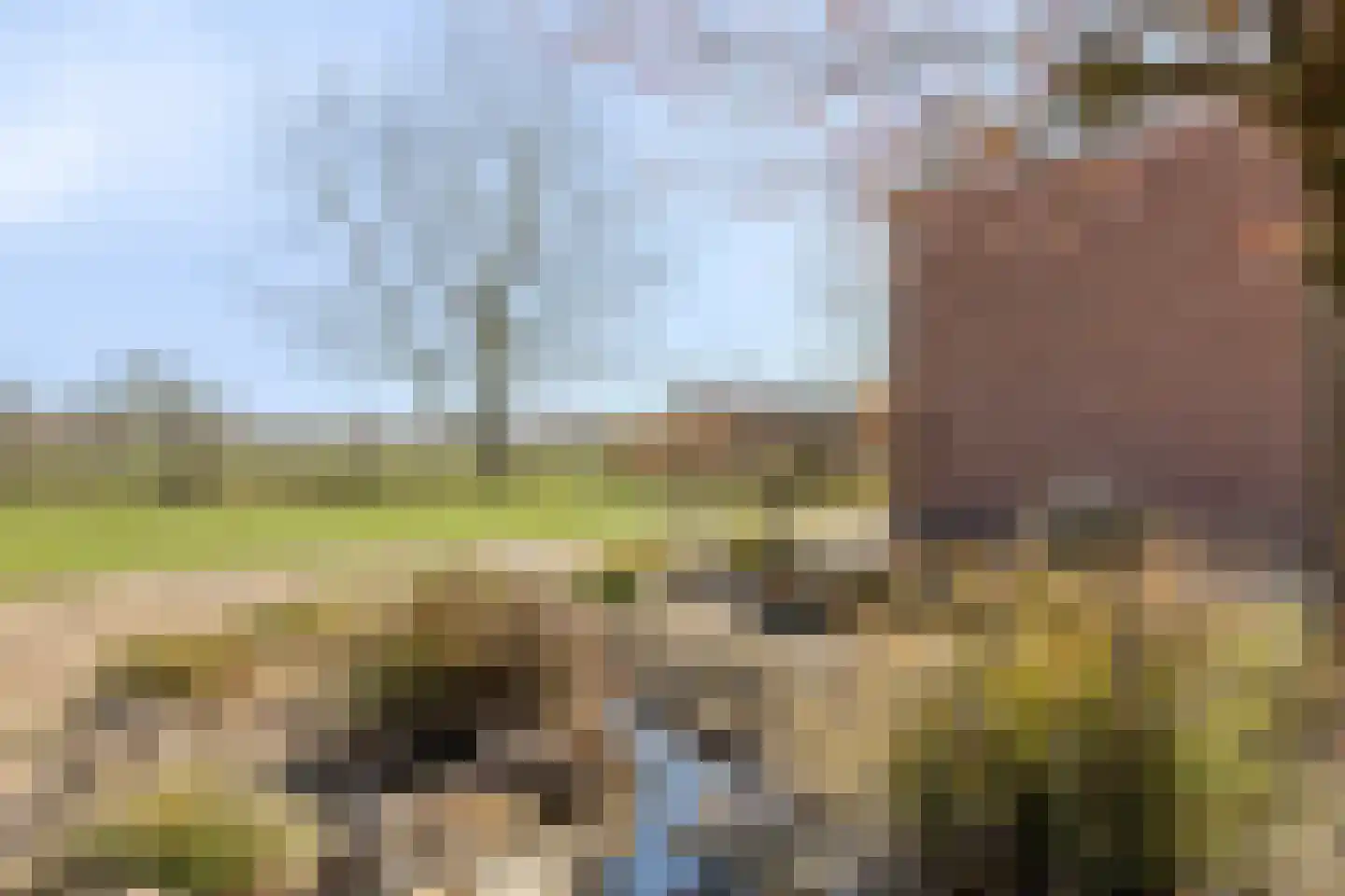 Varsseveldseweg 4 Halle thumbnail 61