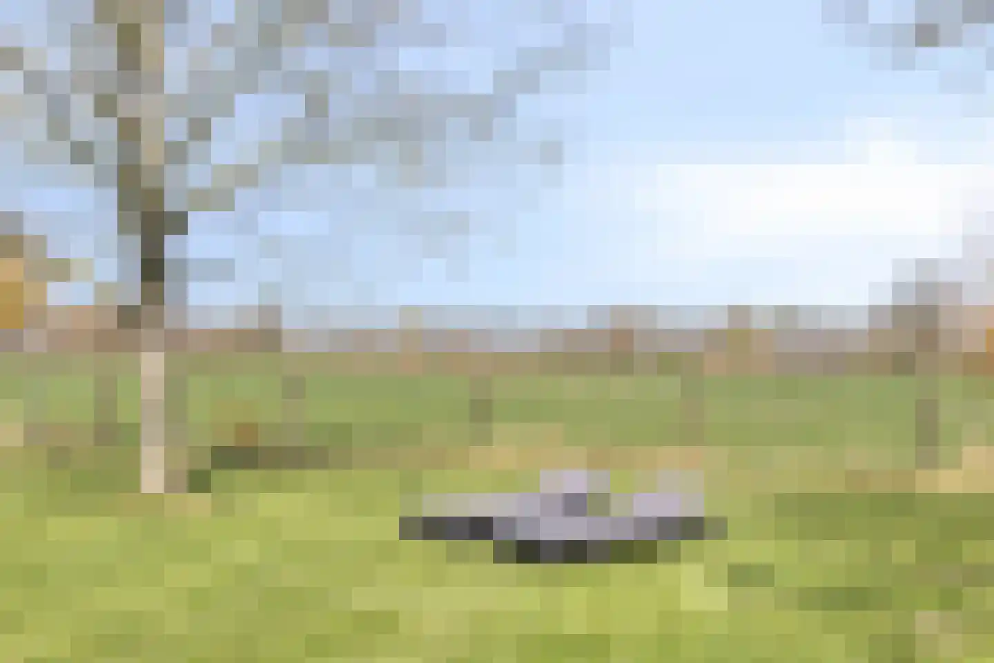 Varsseveldseweg 4 Halle thumbnail 63