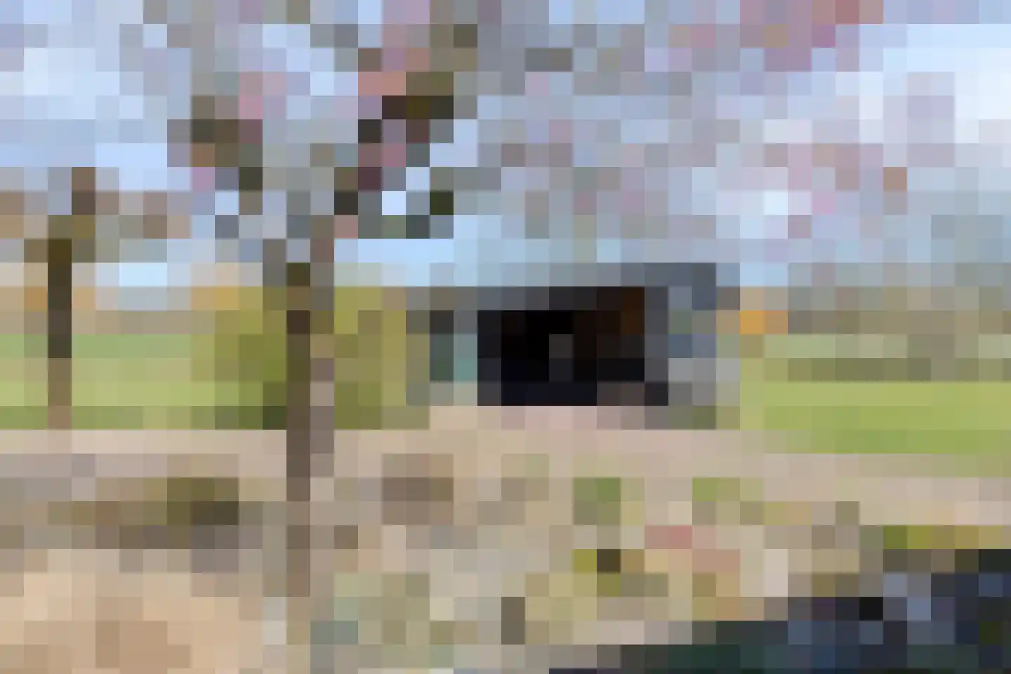 Varsseveldseweg 4 Halle thumbnail 64