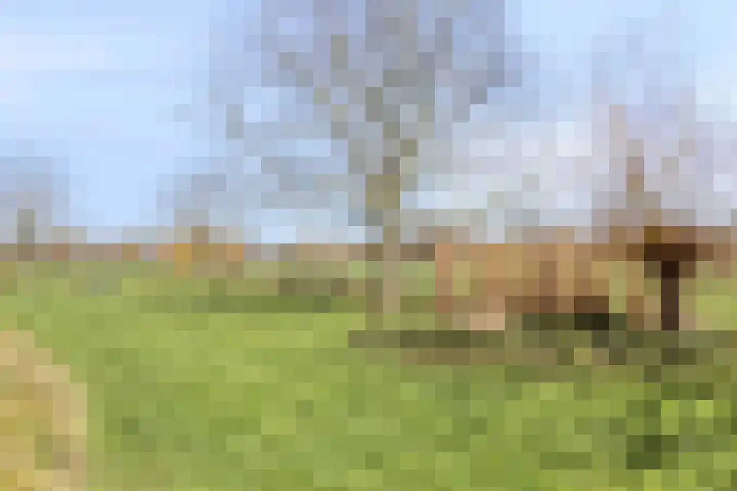 Varsseveldseweg 4 Halle thumbnail 68