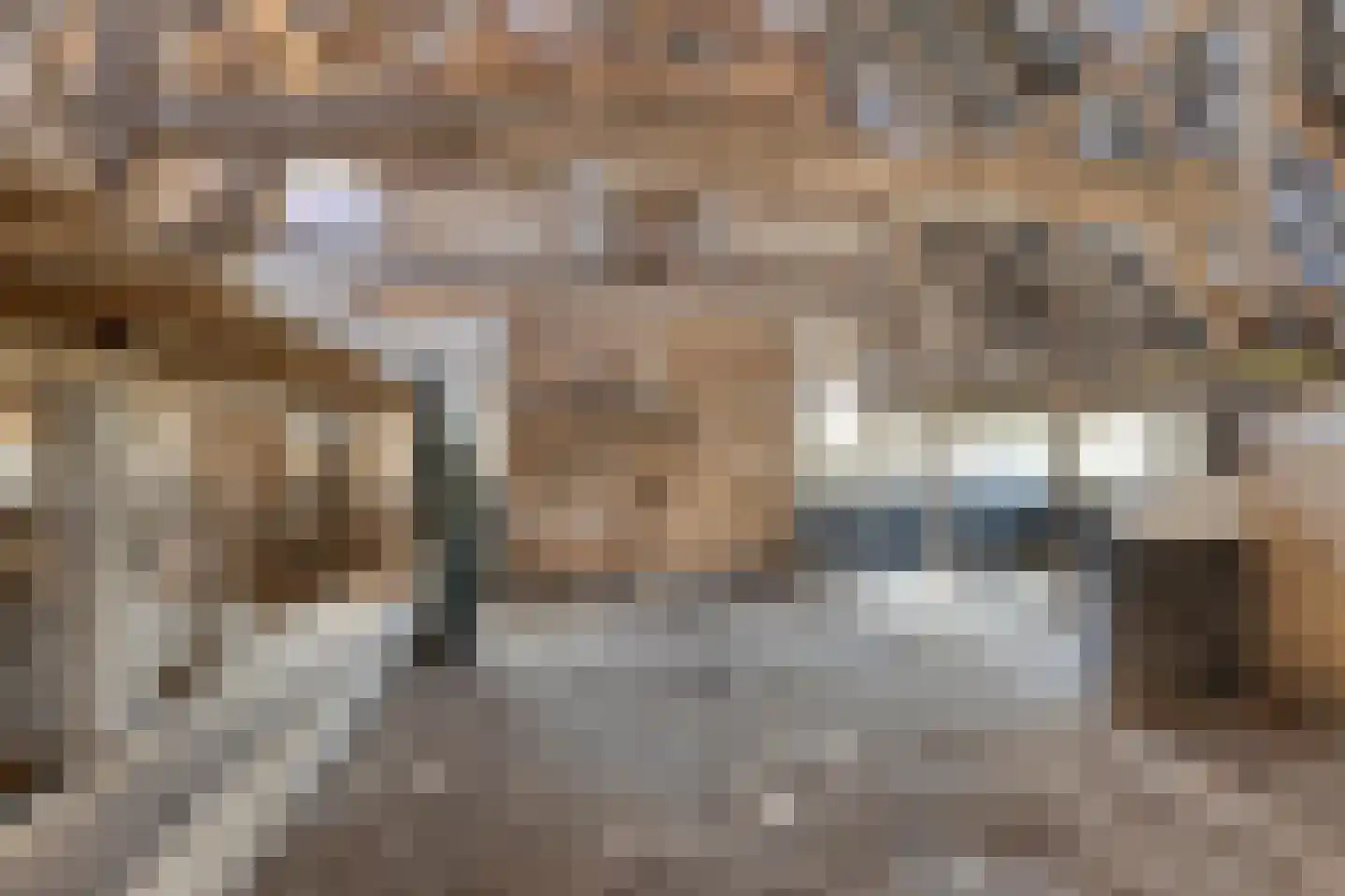 Varsseveldseweg 4 Halle thumbnail 70