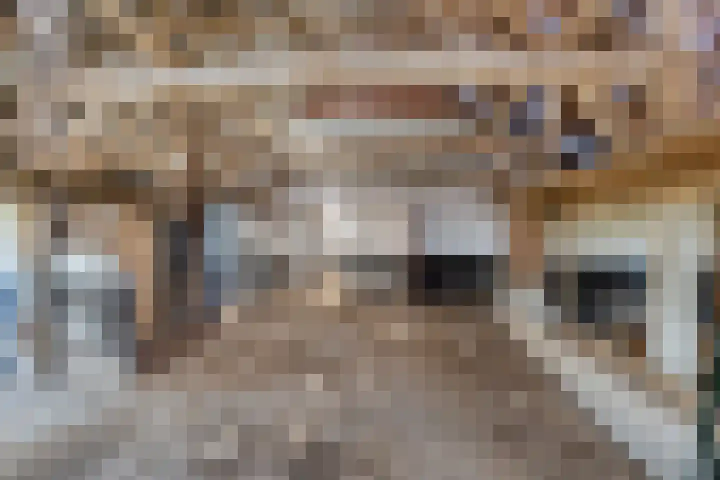 Varsseveldseweg 4 Halle thumbnail 71