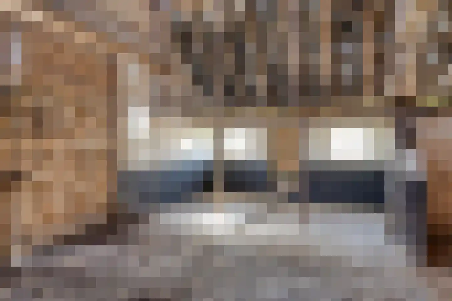 Varsseveldseweg 4 Halle thumbnail 72