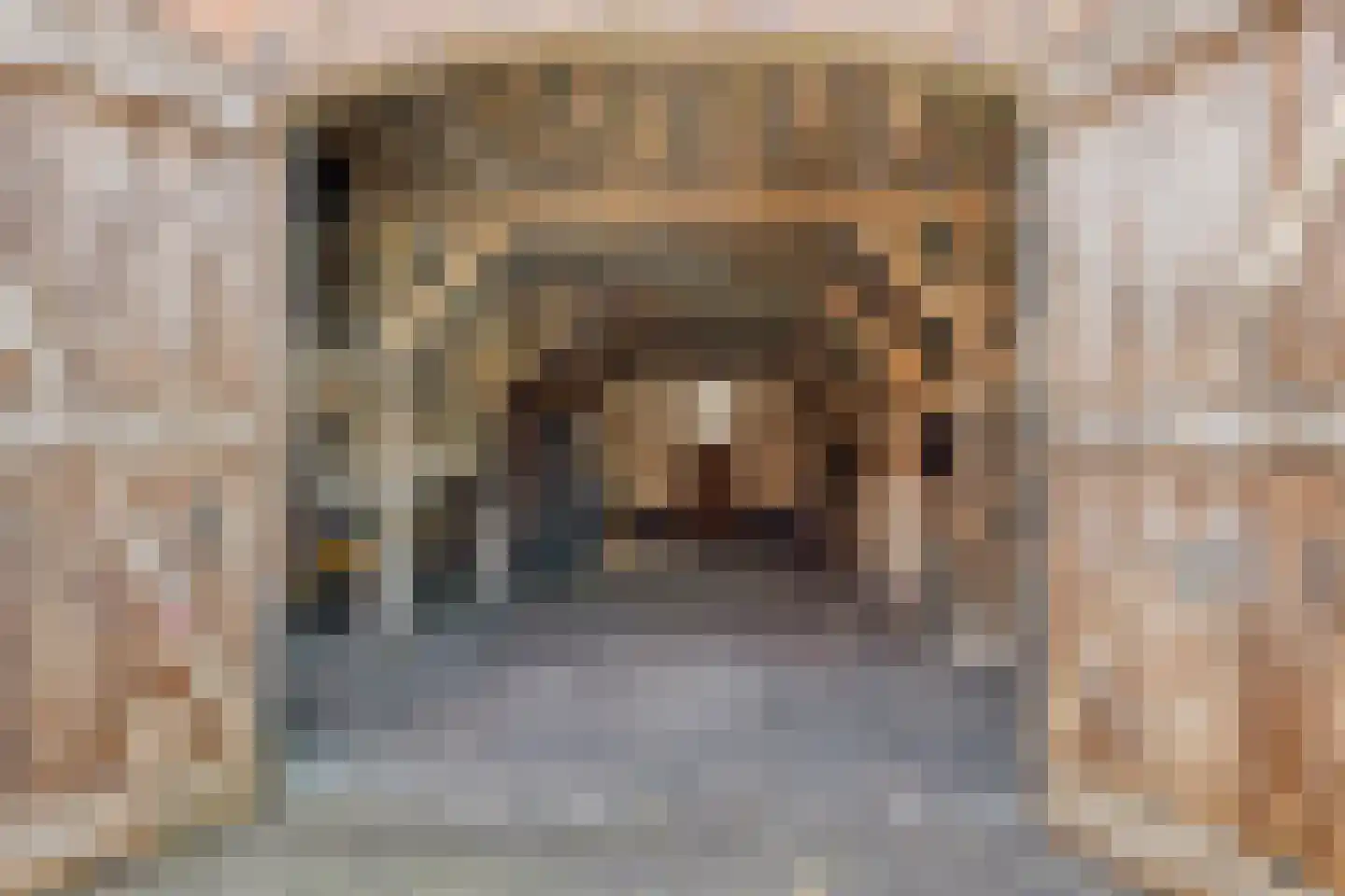 Varsseveldseweg 4 Halle thumbnail 74