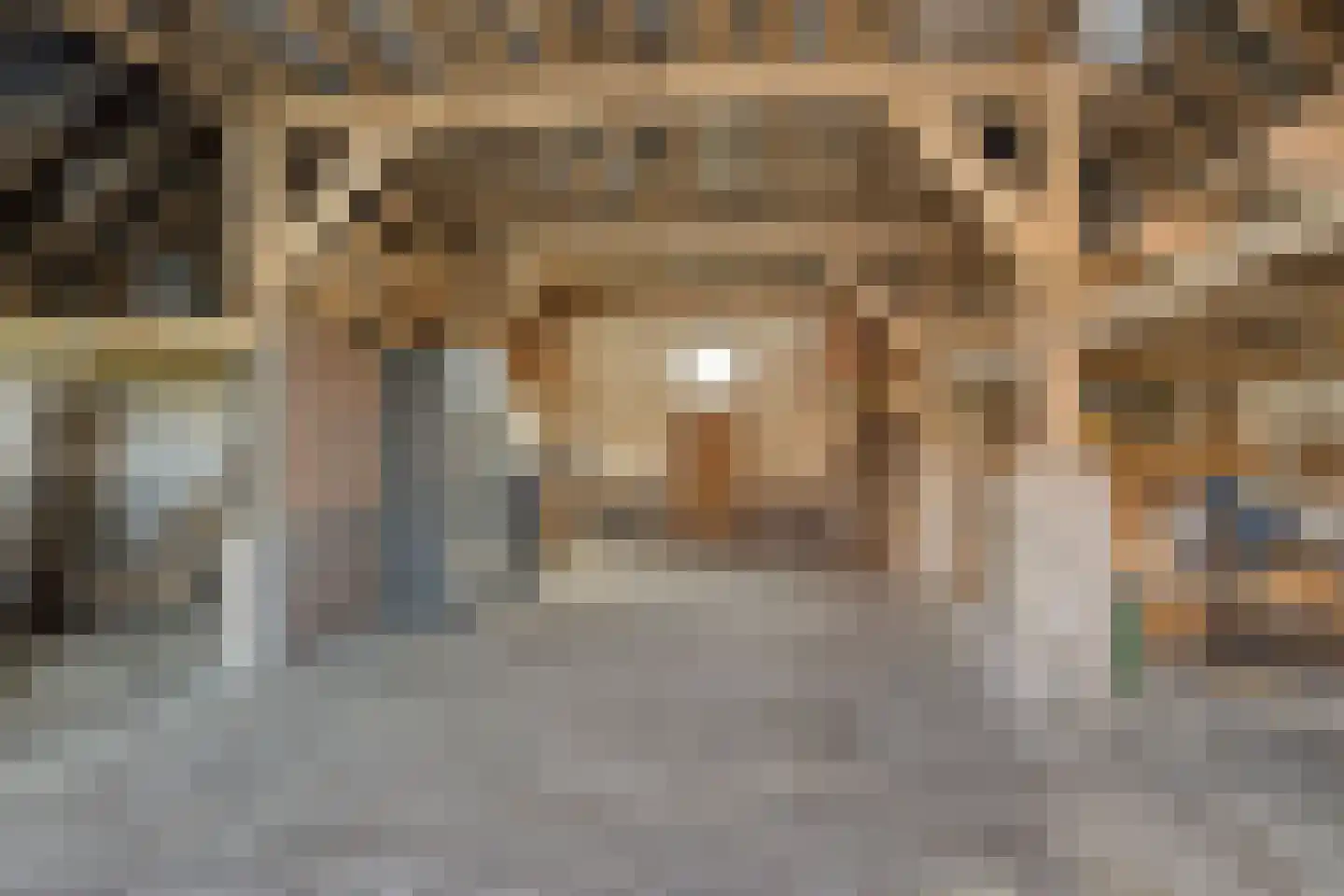 Varsseveldseweg 4 Halle thumbnail 76