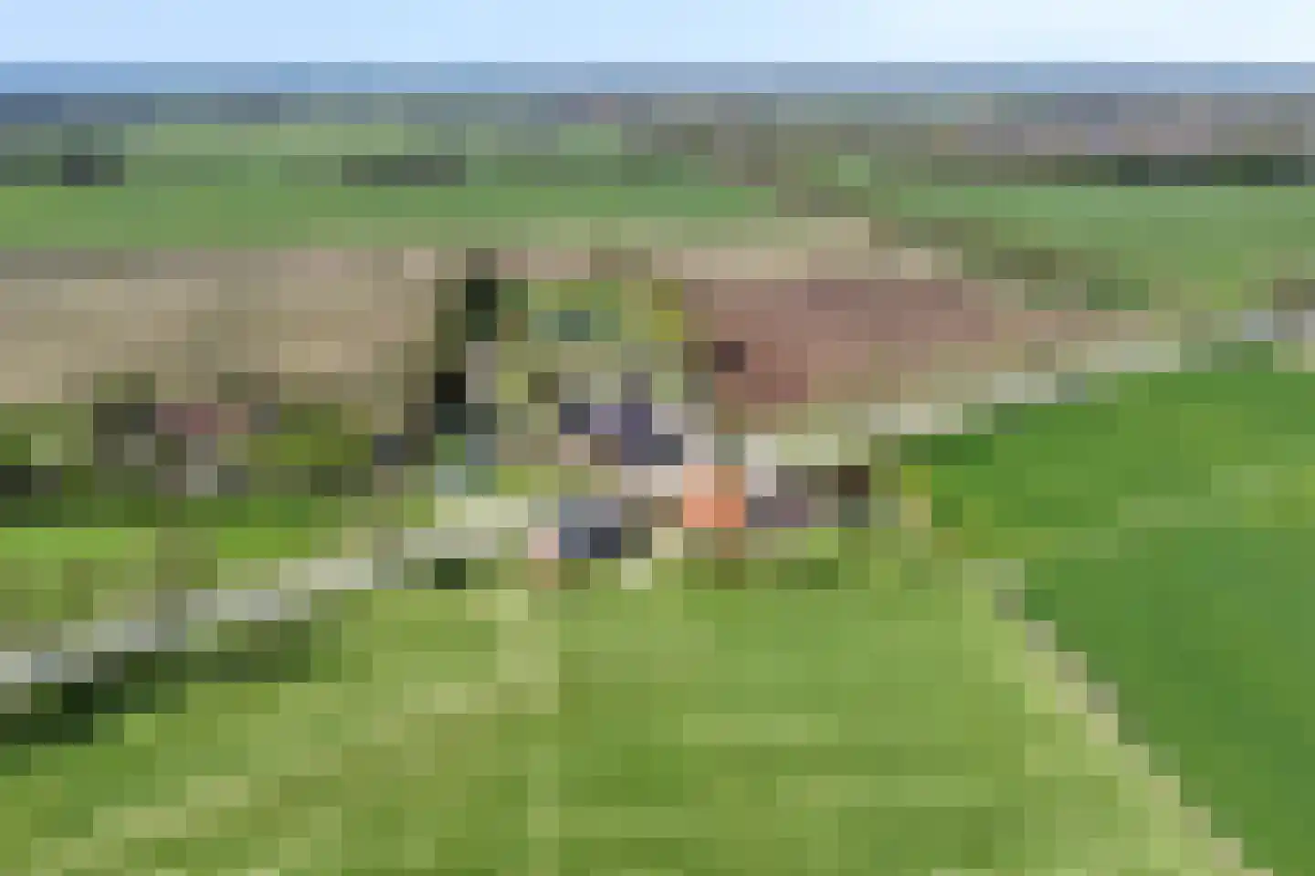 Varsseveldseweg 4 Halle thumbnail 84