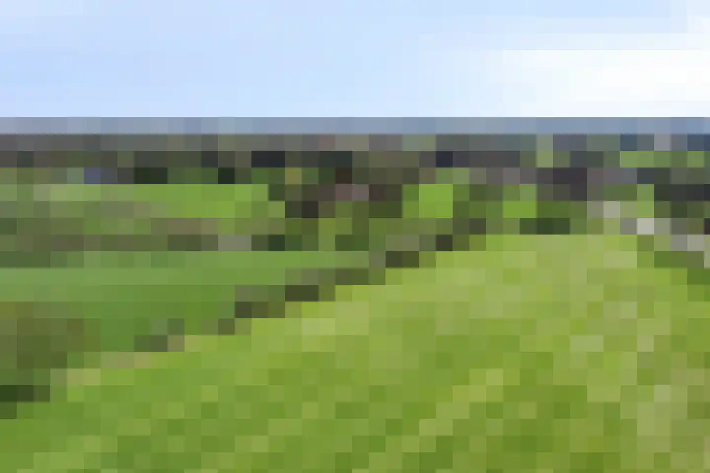 Varsseveldseweg 4 Halle thumbnail 87
