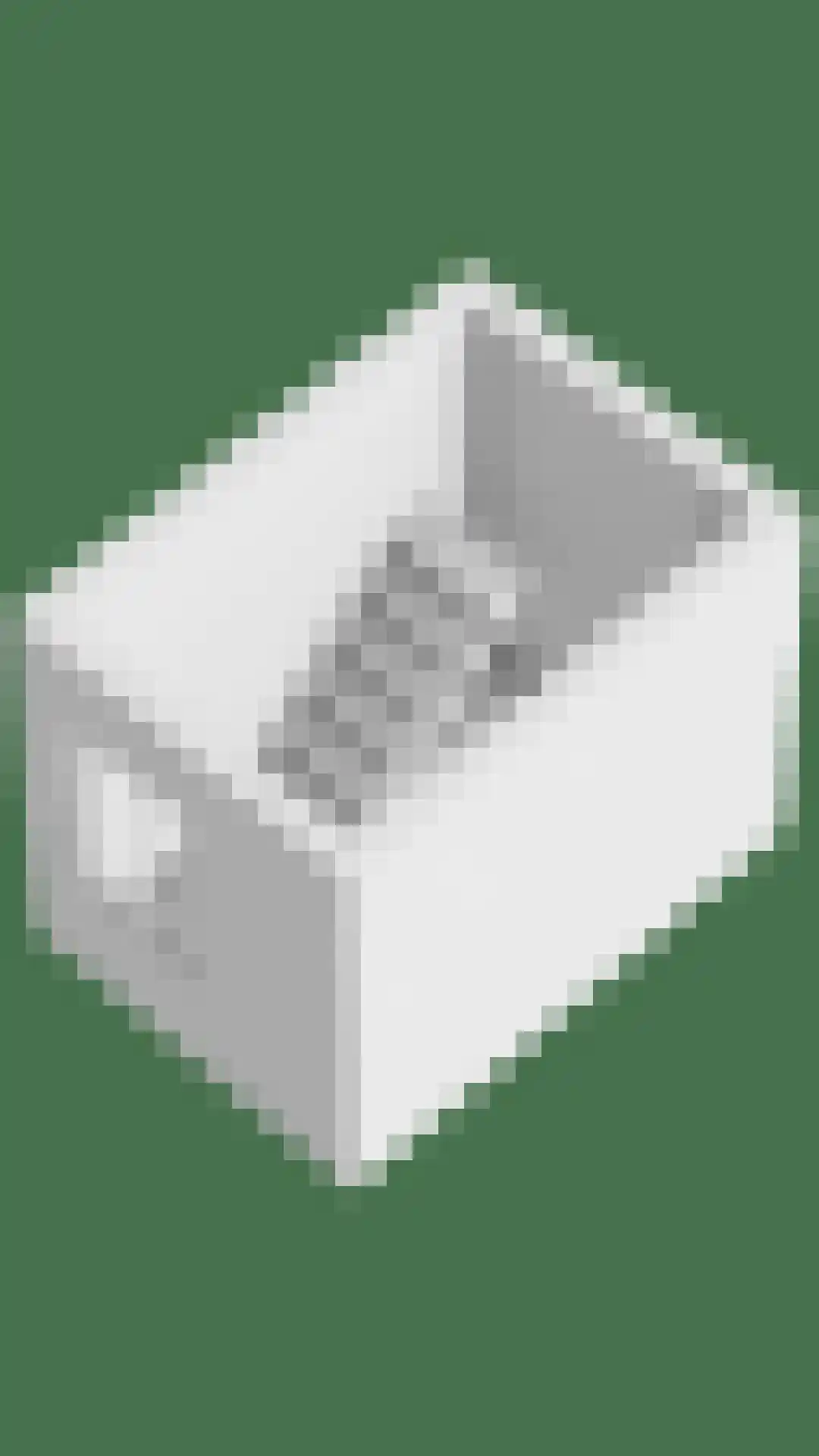 Varsseveldseweg 4 Halle thumbnail 98