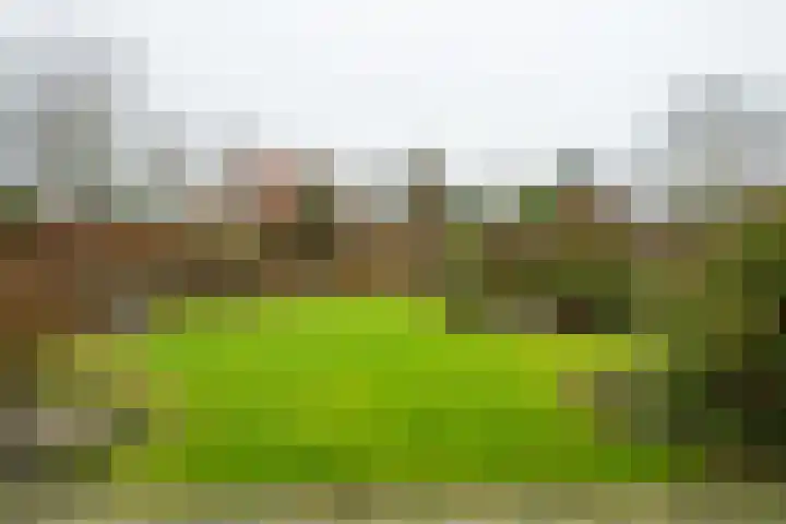 Varsseveldseweg 60 b Lichtenvoorde thumbnail 48