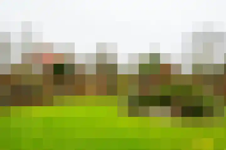 Varsseveldseweg 60 b Lichtenvoorde thumbnail 49