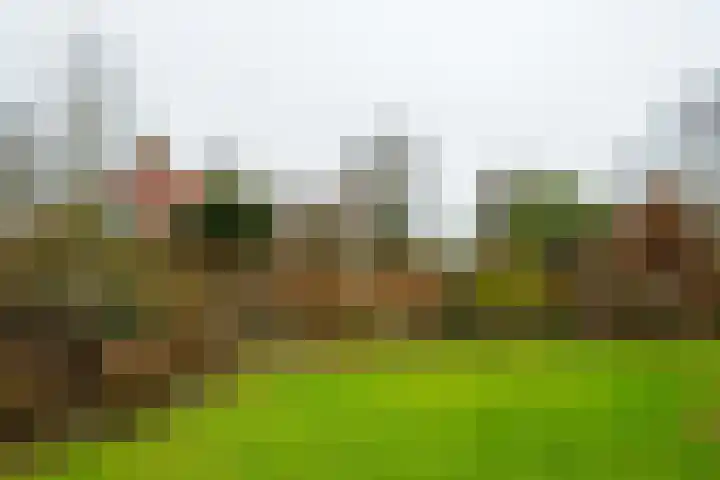 Varsseveldseweg 60 b Lichtenvoorde thumbnail 50
