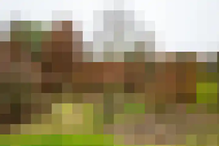 Varsseveldseweg 60 b Lichtenvoorde thumbnail 51