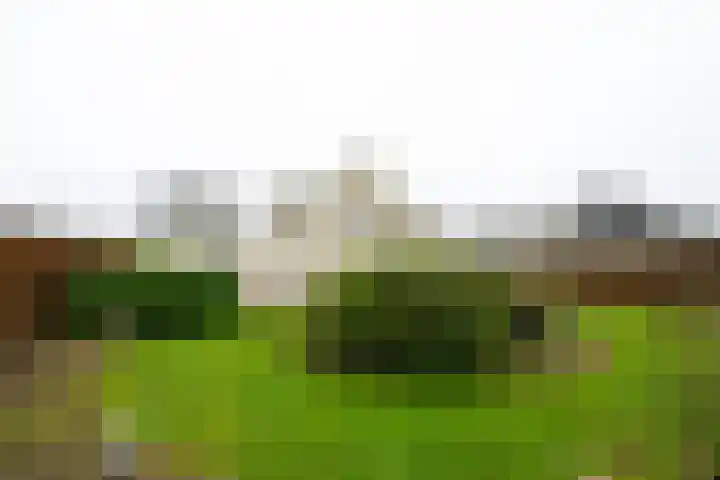 Varsseveldseweg 60 b Lichtenvoorde thumbnail 53