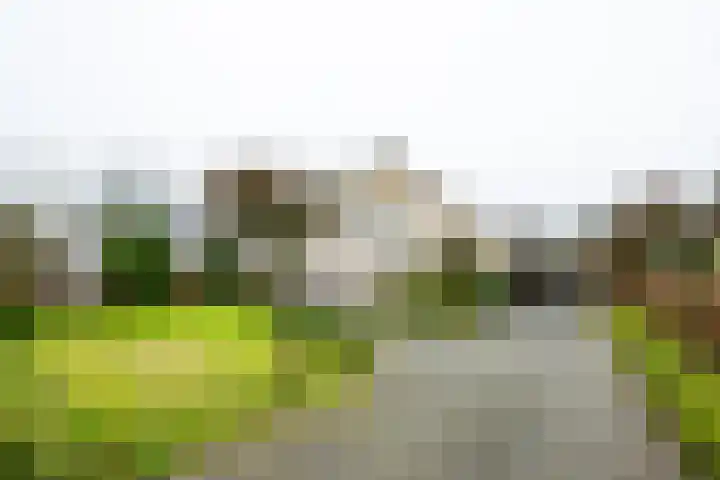 Varsseveldseweg 60 b Lichtenvoorde thumbnail 6