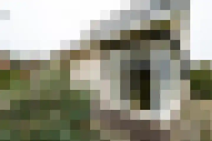 Varsseveldseweg 60 b Lichtenvoorde thumbnail 9
