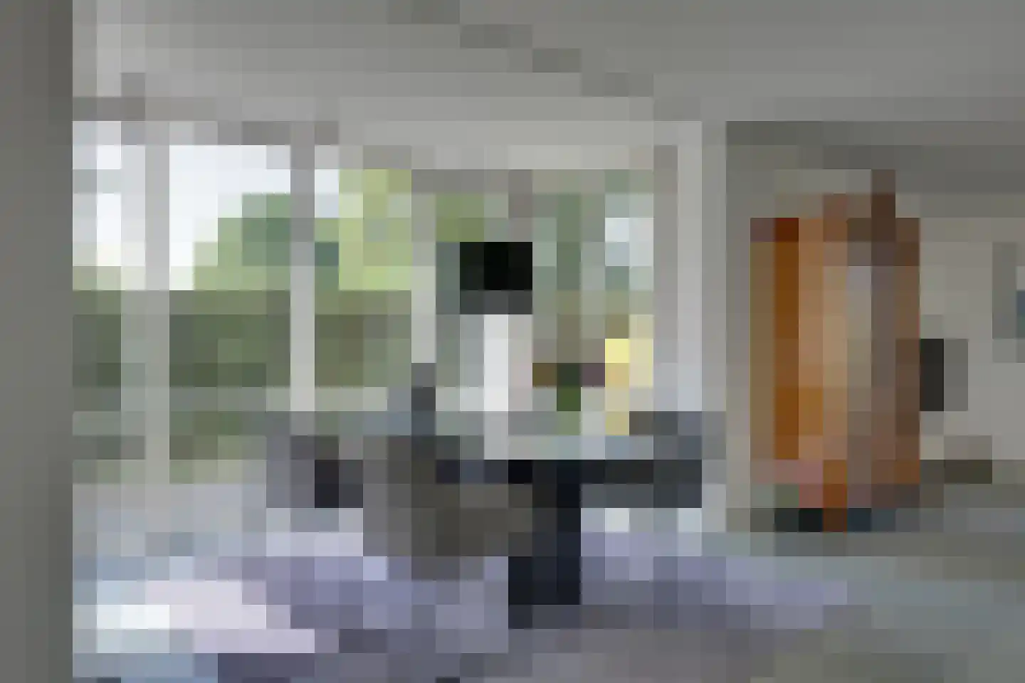 Varsseveldseweg 60 c Lichtenvoorde thumbnail 14