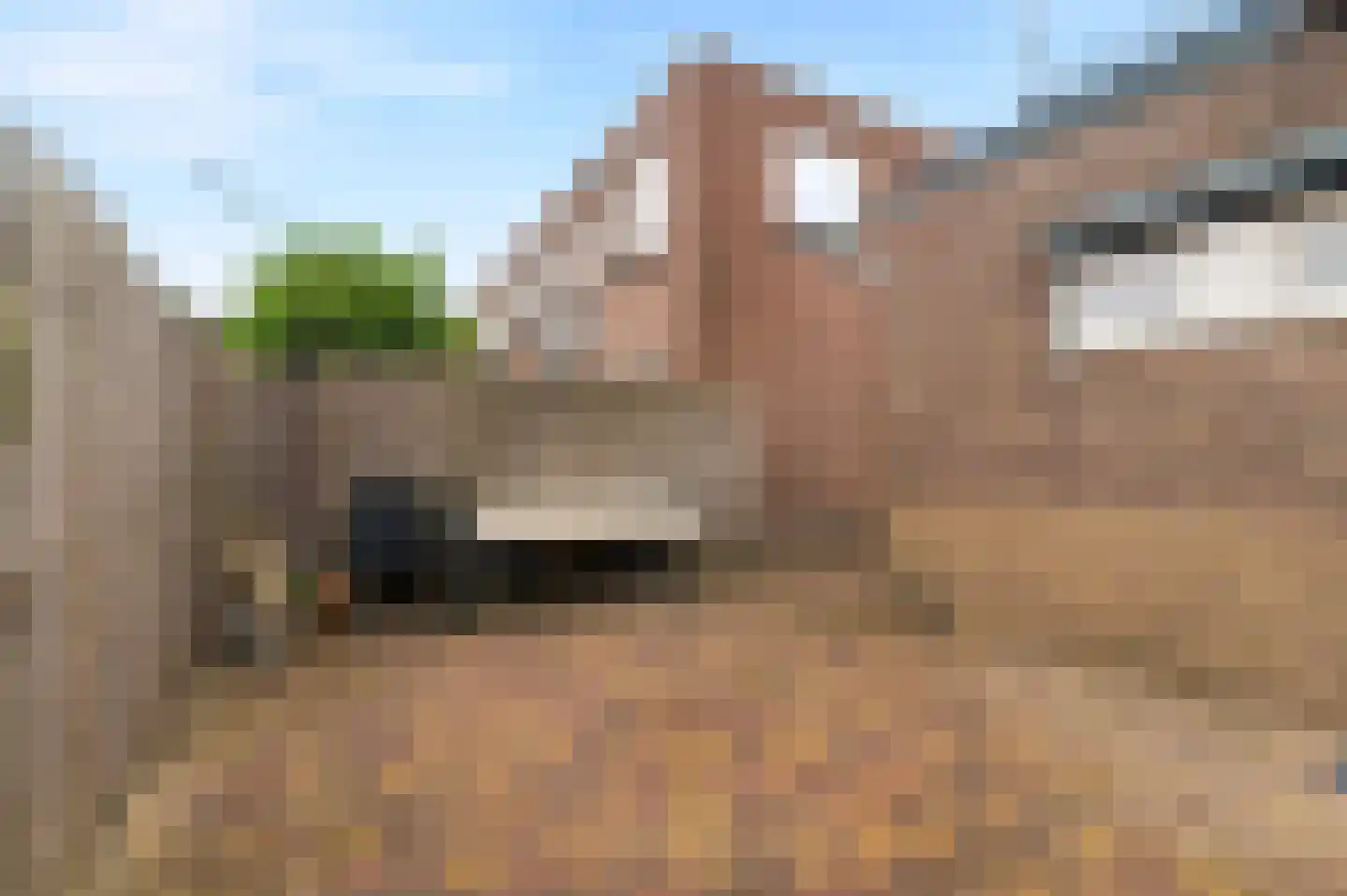 Varsseveldseweg 63 Doetinchem thumbnail 17