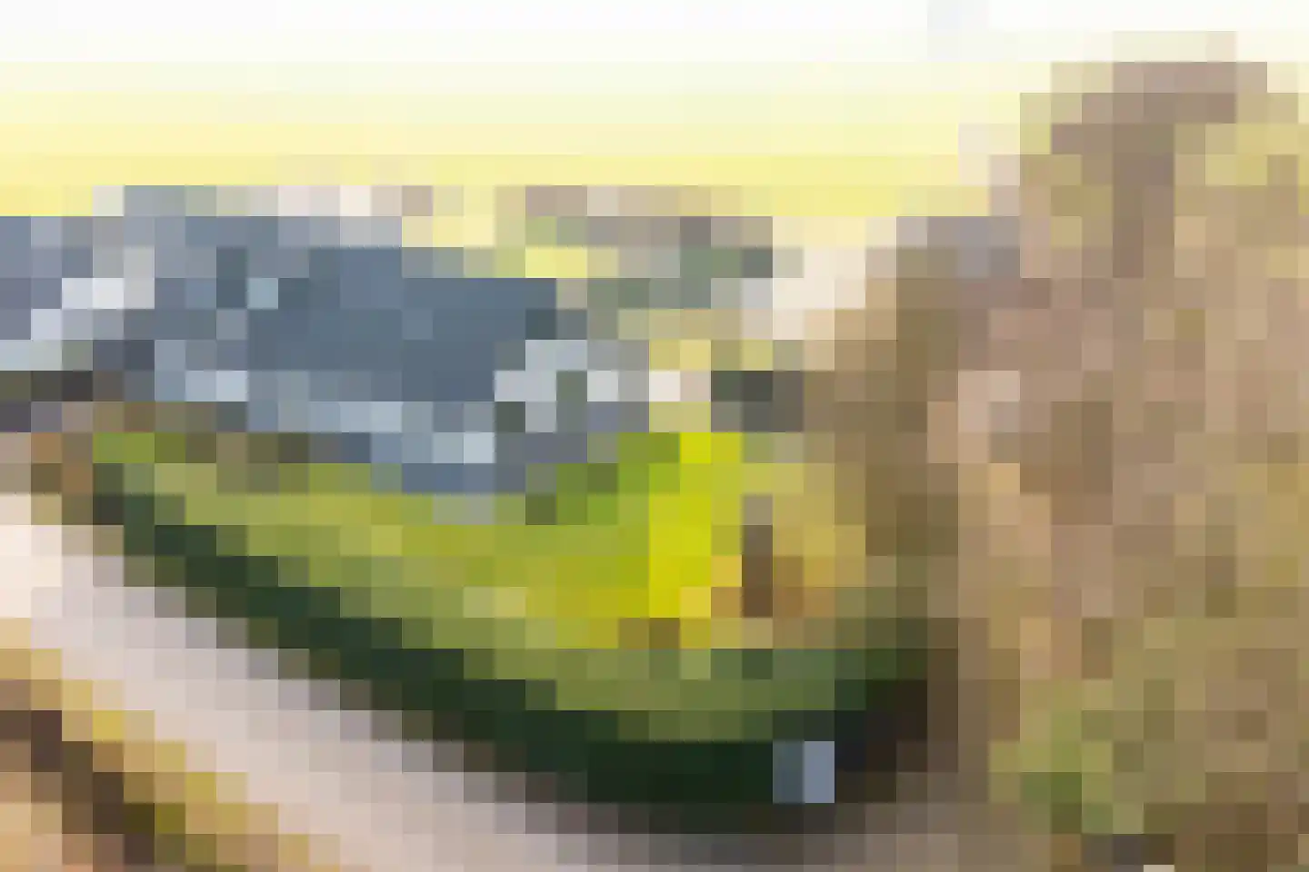 Varsseveldseweg 67 01 Lichtenvoorde thumbnail 11