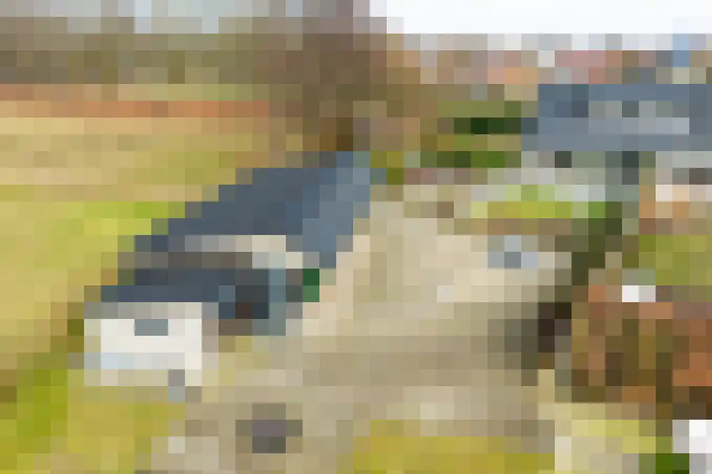Varsseveldseweg 67 01 Lichtenvoorde thumbnail 14