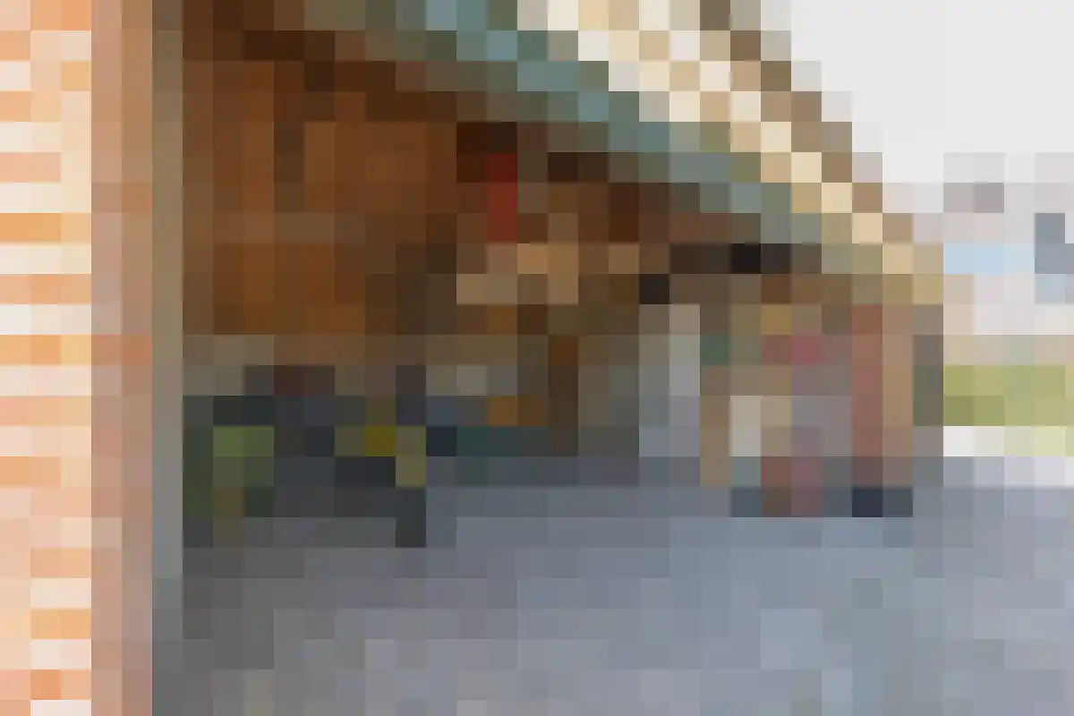 Varsseveldseweg 86 Harreveld thumbnail 39