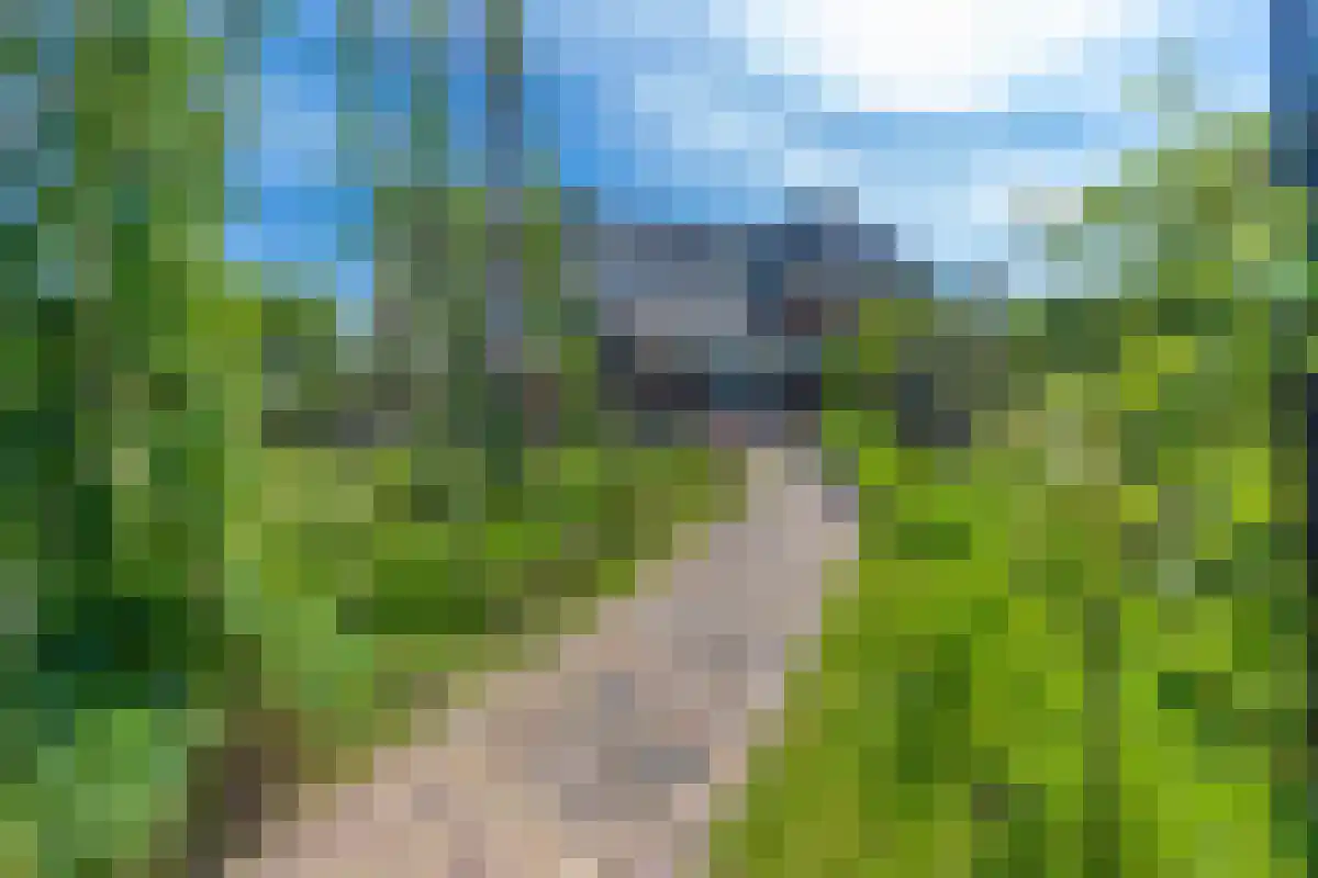 Varsseveldseweg 86 Harreveld thumbnail 42