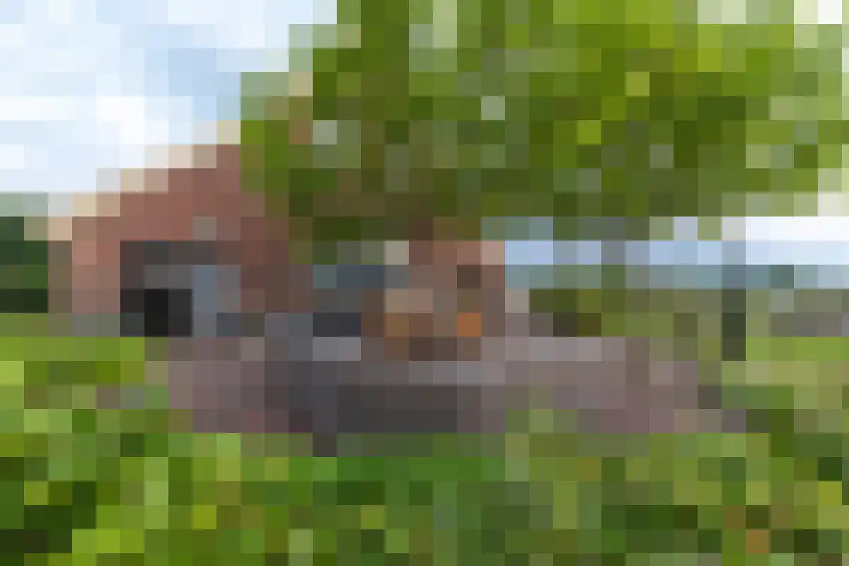 Varsseveldseweg 86 Harreveld thumbnail 43