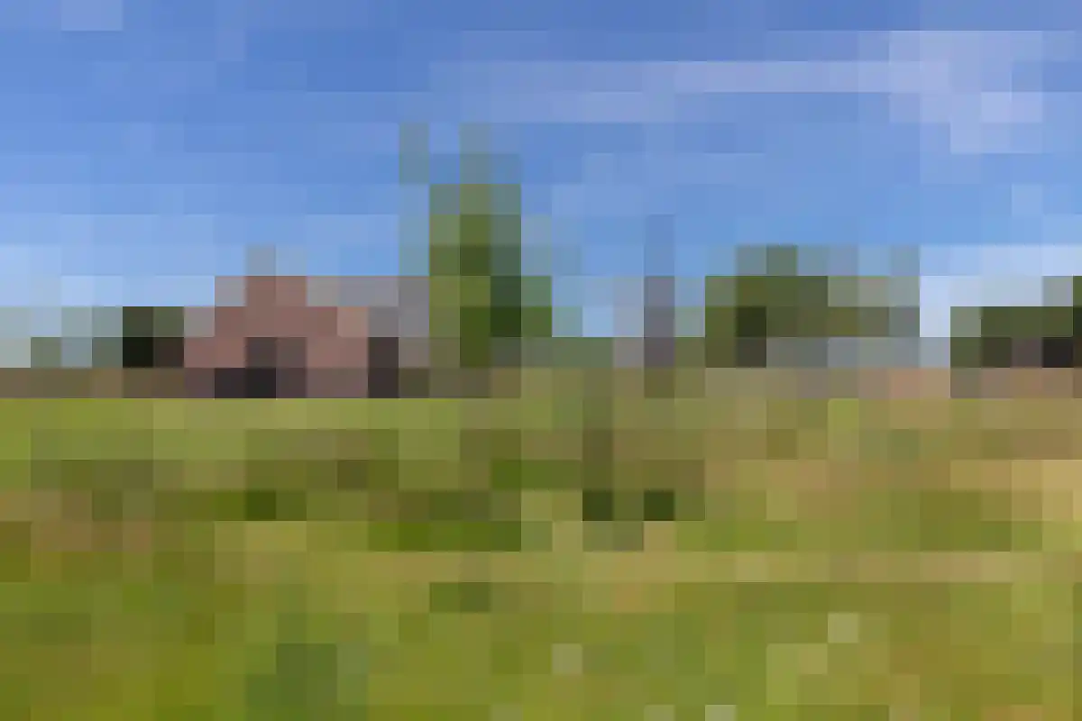 Varsseveldseweg 86 Harreveld thumbnail 44
