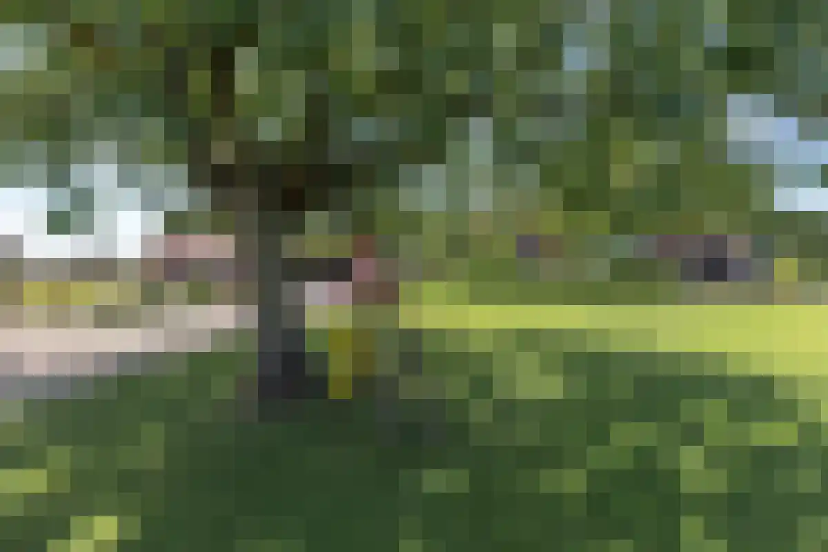 Varsseveldseweg 86 Harreveld thumbnail 46