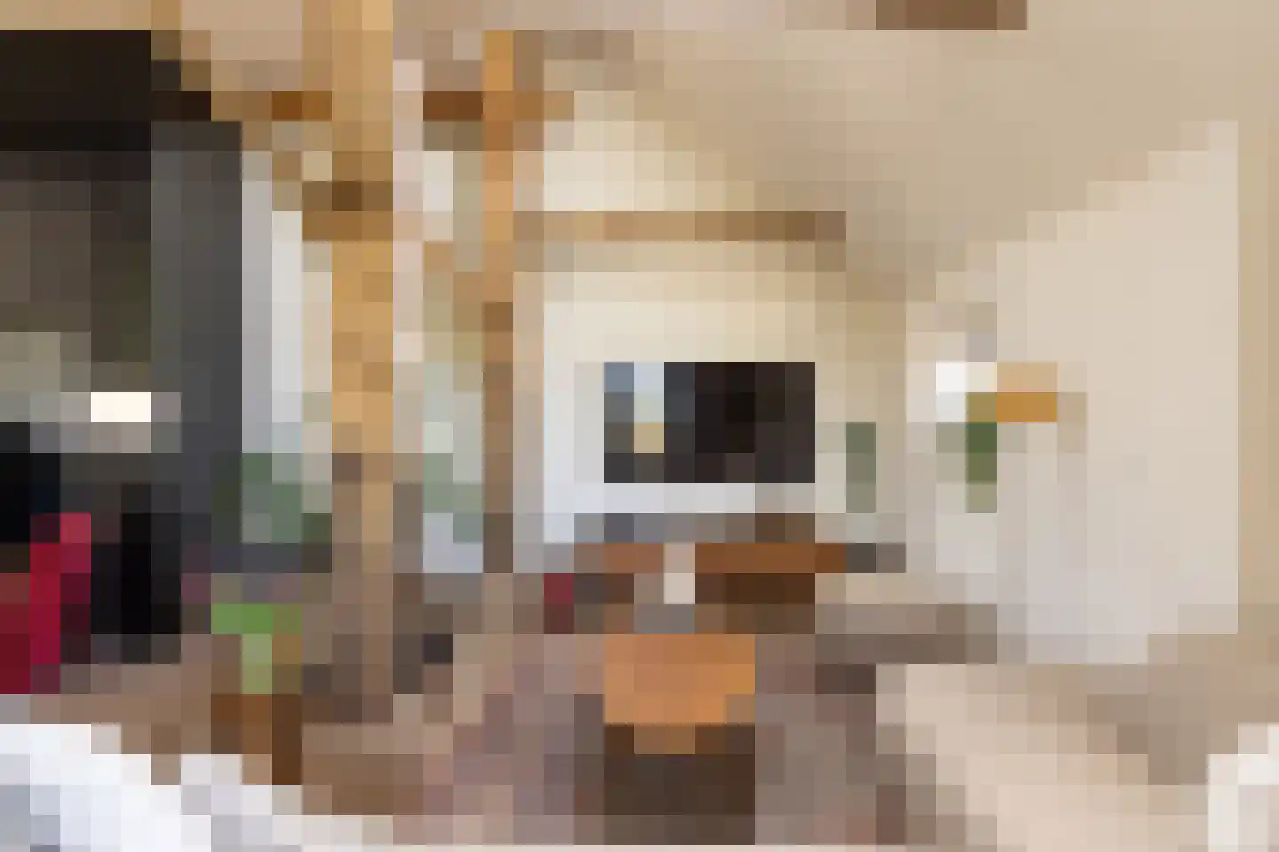 Varsseveldseweg 86 Harreveld thumbnail 8