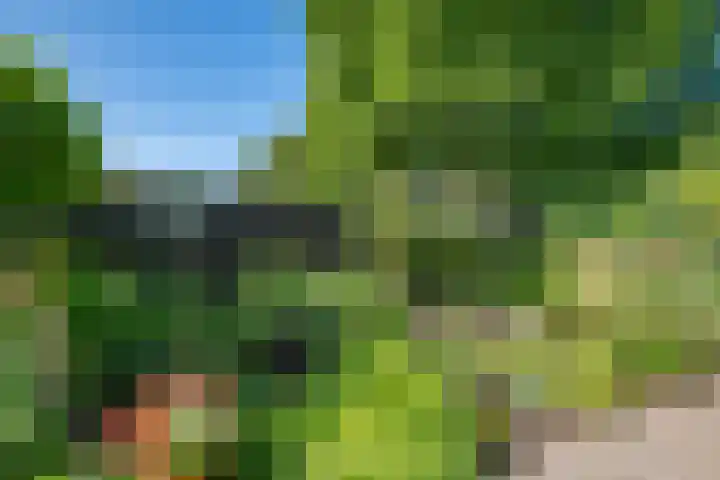 Varsseveldseweg 9 Terborg thumbnail 43