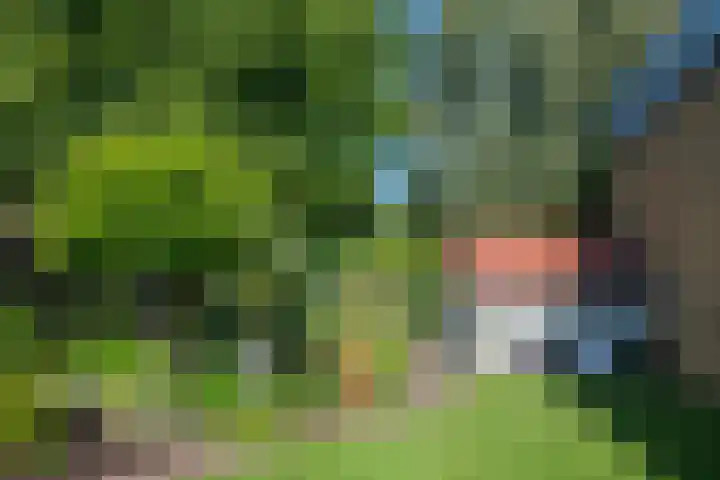 Varsseveldseweg 9 Terborg thumbnail 6