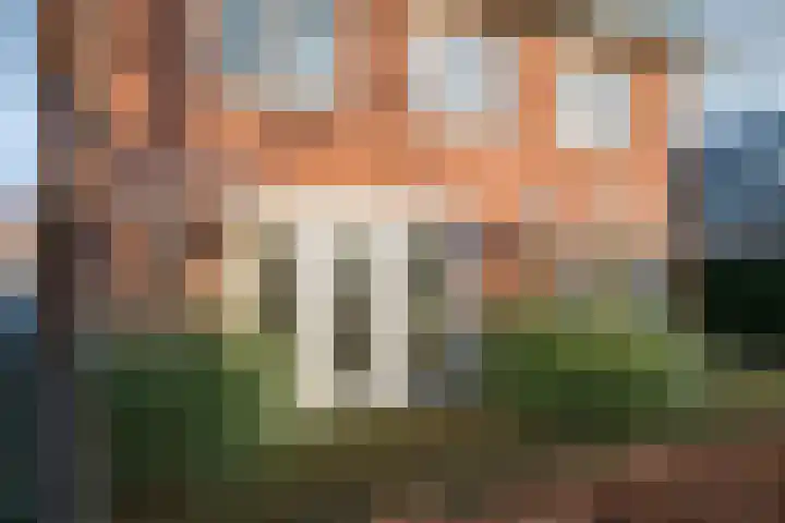 Varsseveldseweg 91 Doetinchem thumbnail 9